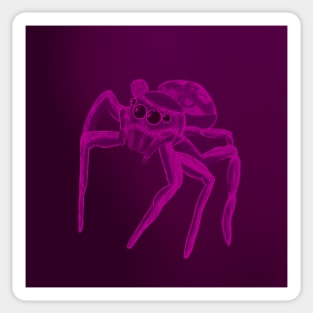 Jumping Spider Drawing V28 (Pink 2) Sticker